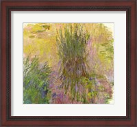 Framed Waterlilies (yellow)