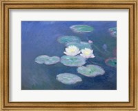 Framed Waterlilies, Evening