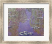 Framed Waterlilies, 1903 (purple)