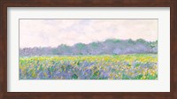 Framed Field of Yellow Irises at Giverny, 1887
