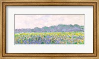 Framed Field of Yellow Irises at Giverny, 1887