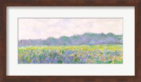 Framed Field of Yellow Irises at Giverny, 1887