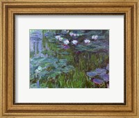 Framed Waterlilies, 1914-17
