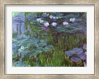 Framed Waterlilies, 1914-17