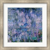 Framed Waterlilies and Reflections of a Willow Tree