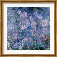 Framed Waterlilies and Reflections of a Willow Tree