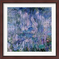 Framed Waterlilies and Reflections of a Willow Tree