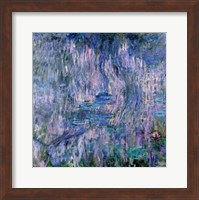 Framed Waterlilies and Reflections of a Willow Tree