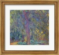 Framed Weeping Willow, 1918-19