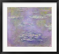 Framed Waterlilies, 1903 (purple)