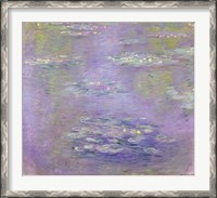 Framed Waterlilies, 1903 (purple)
