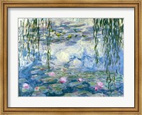 Framed Waterlilies, 1916-19