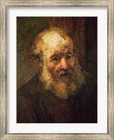 Framed Head of an Old Man, c.1650