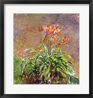 Framed Hemerocallis, 1914-17