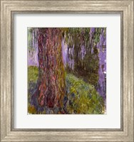 Framed Weeping Willow and the Waterlily Pond
