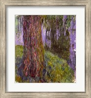 Framed Weeping Willow and the Waterlily Pond