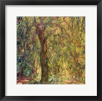 Framed Weeping Willow green