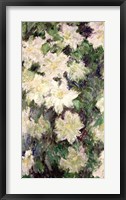 Framed White Clematis, 1887