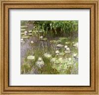 Framed Waterlilies at Midday, 1918