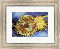 Framed Sunflowers, 1887