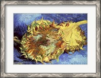 Framed Sunflowers, 1887