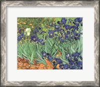 Framed Irises, 1889