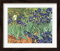 Framed Irises, 1889