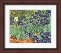 Framed Irises, 1889