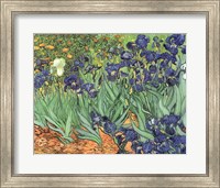 Framed Irises, 1889