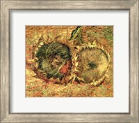 Framed Two Cut Sunflowers, 1887