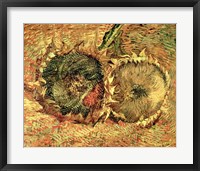 Framed Two Cut Sunflowers, 1887