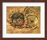 Framed Two Cut Sunflowers, 1887