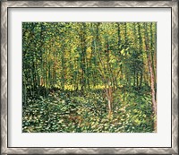 Framed Trees and Undergrowth, 1887