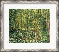 Framed Trees and Undergrowth, 1887