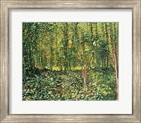 Framed Trees and Undergrowth, 1887