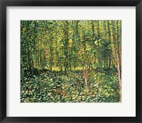 Trees and Undergrowth, 1887 Framed Print