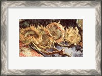 Framed Four Withered Sunflowers, 1887
