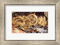 Framed Four Withered Sunflowers, 1887
