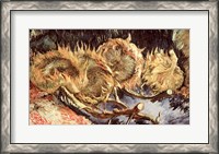 Framed Four Withered Sunflowers, 1887