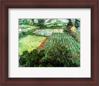 Framed Field with Poppies, 1889
