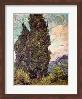 Framed Cypresses, 1889