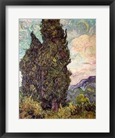 Framed Cypresses, 1889