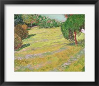 Framed Field in Sunlight, 1888