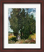 Framed Cypresses