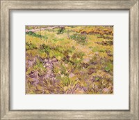 Framed Meadow with Butterflies, 1890