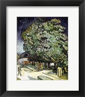 Framed Chestnut trees in Blossom, Auvers-sur-Oise, 1890