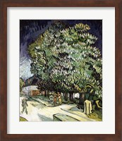 Framed Chestnut trees in Blossom, Auvers-sur-Oise, 1890