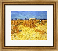 Framed Harvest in Provence