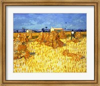 Framed Harvest in Provence