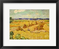 Framed Haystacks